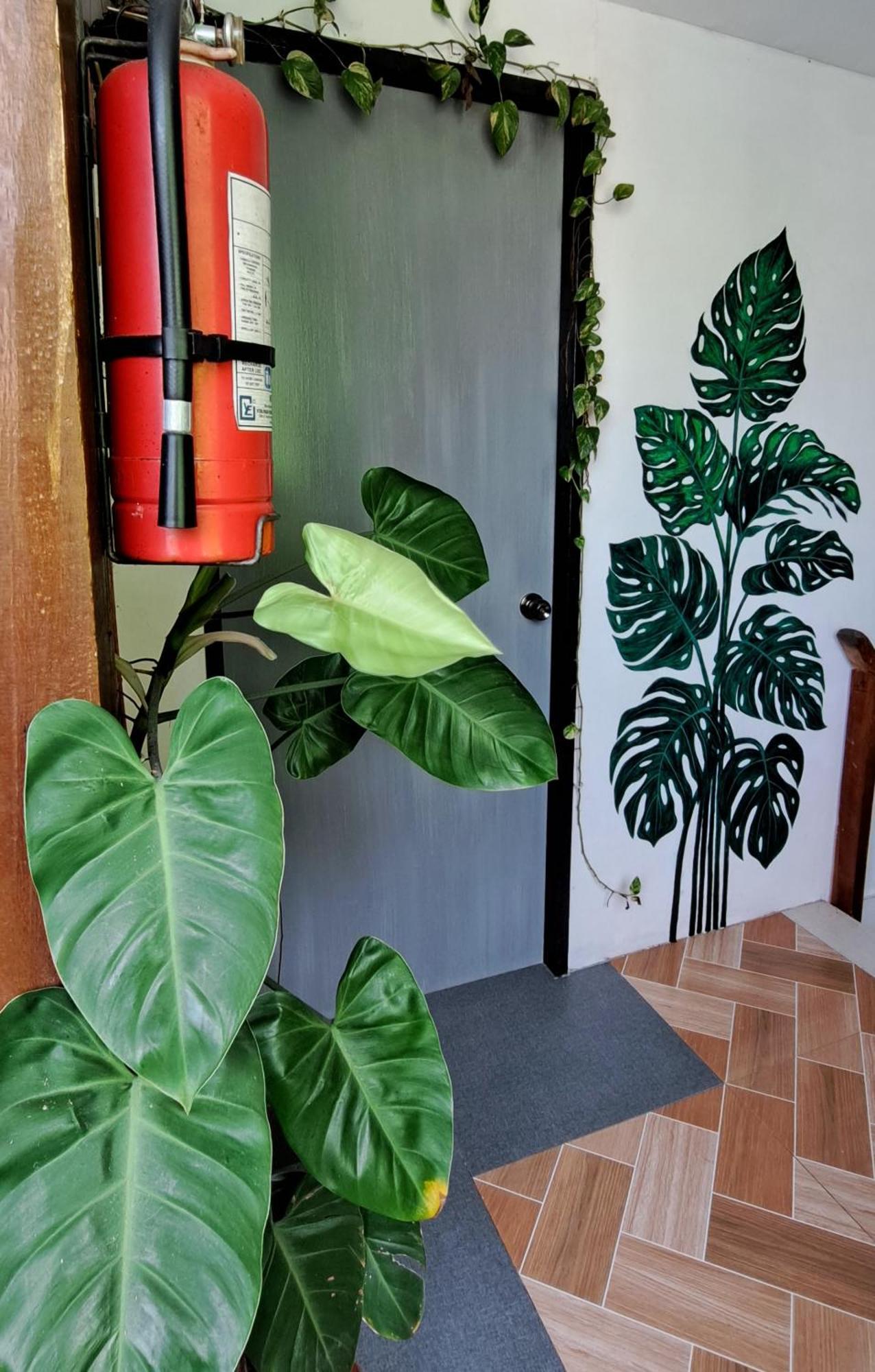 Bougainvillea Guesthouse 산후안 외부 사진